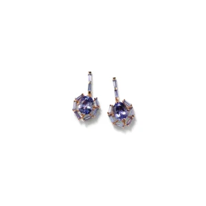Tote Earrings - Tanzanite