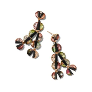 Tuft Earrings - Bi-Color Tourmaline & Black Spinel